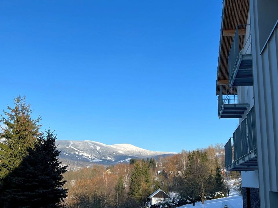 Sky, Cloud, Tree, Azure, Snow, Mountain, Slope, Building, Larch, Window