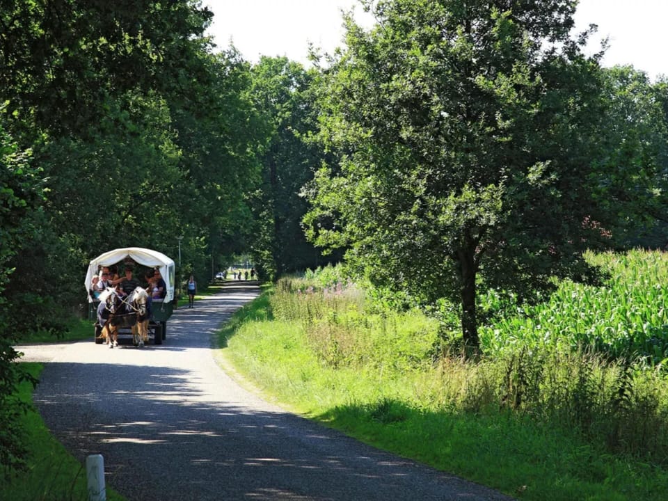 Immediate Surroundings [summer] (<1 km)