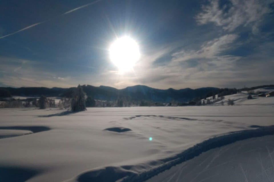 Immediate Surroundings [winter] (<1 km)