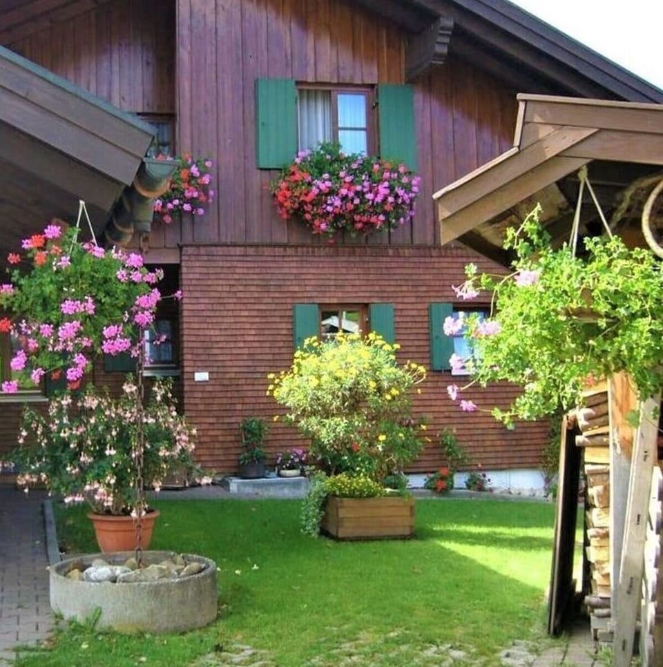 Garden [summer]