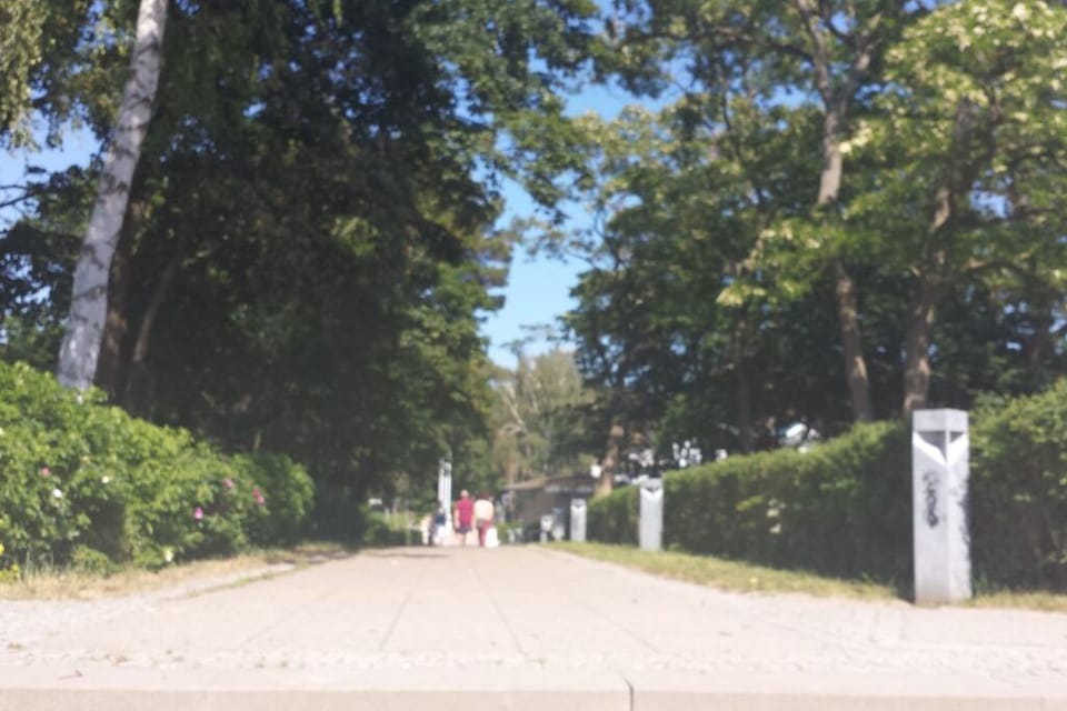 Immediate Surroundings [summer] (<1 km)