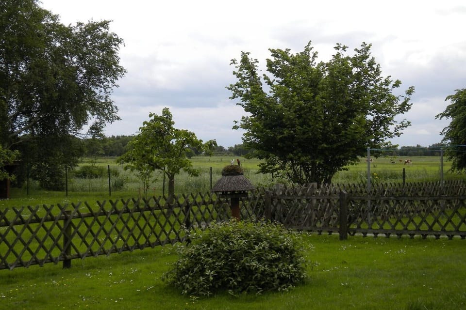 Garden [summer]