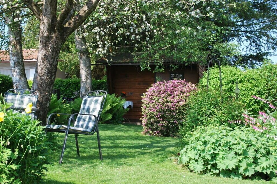 Garden [summer]