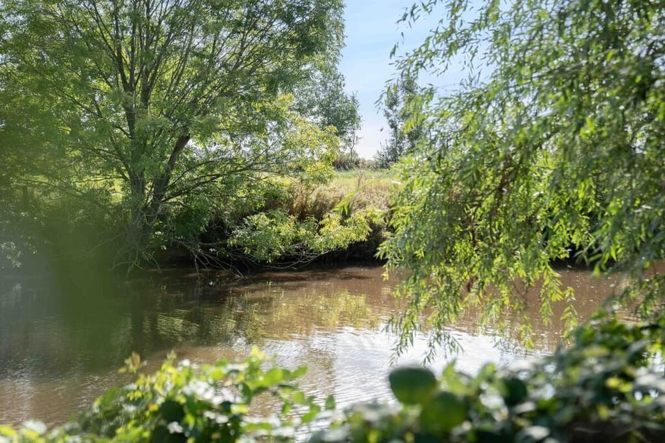 Surroundings [summer] (1-5 km)