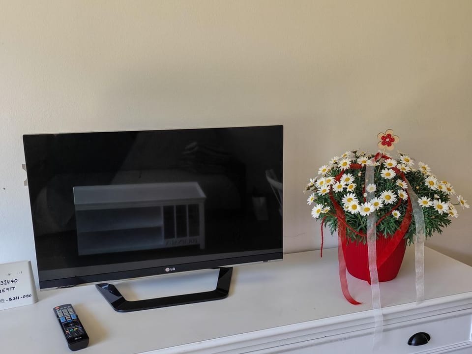 Television