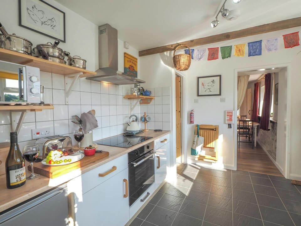 Oven, hob, toaster, glass of wine, snacks, kettle, microwave