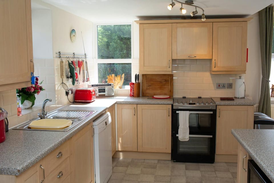 Electric cooker and various kitchen utensils