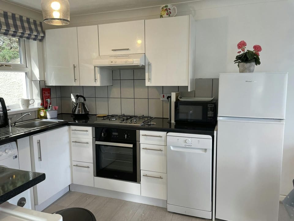 Fridge freezer, dishwasher and mircowave.