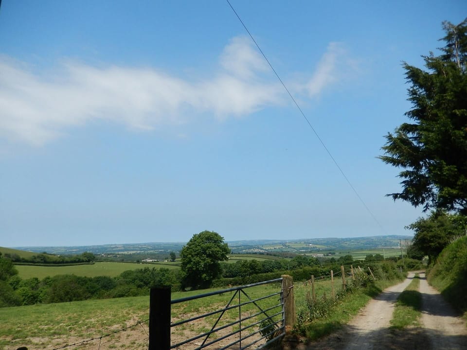 The approach to Blaenfforest