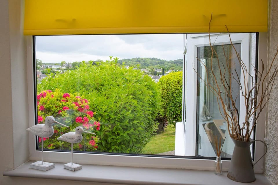 View of garden through a window