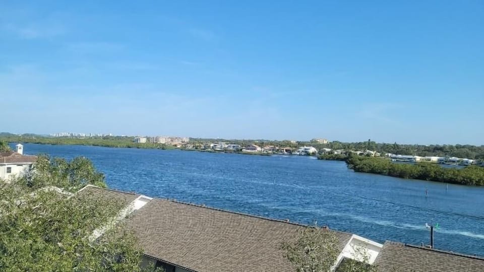Condo view