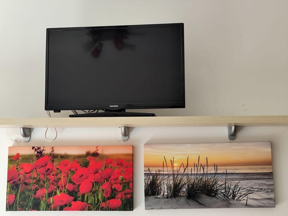 Television