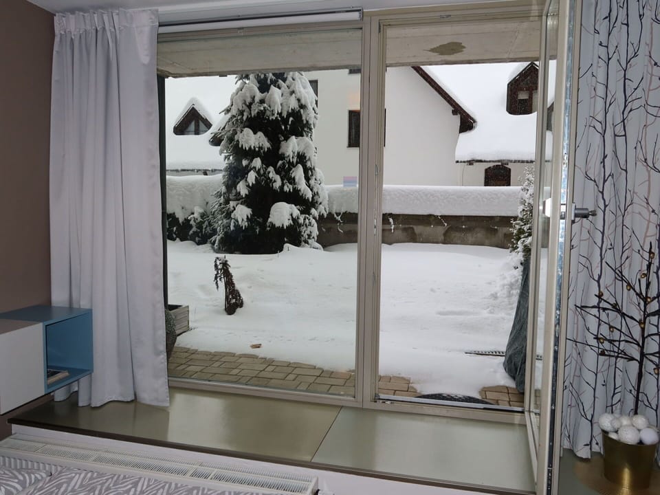 Window, Plant, Snow, Shade, Interior Design, Wood, Curtain, Tree, Twig