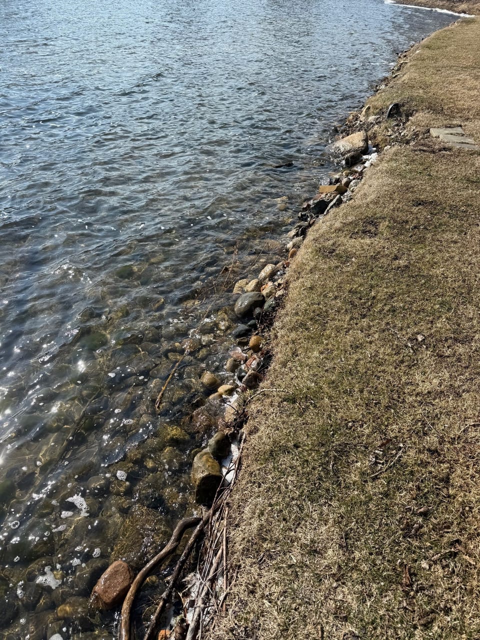 shoreline of lake and property