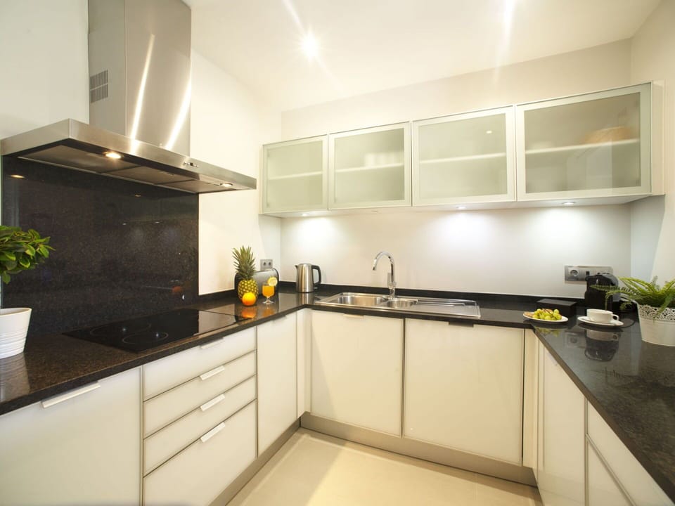 Countertop, Cabinetry, Kitchen Appliance, Kitchen Stove, Kitchen Sink, Kitchen, Home Appliance, Sink, Wood, Plant