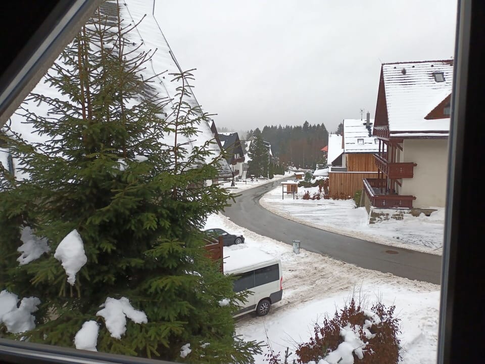 Sky, Building, Plant, Window, Snow, Wood, Larch, Slope, Evergreen, House
