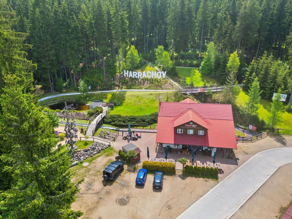 Cottage, Larch, Landscaping, Evergreen, Pine Family, Plantation