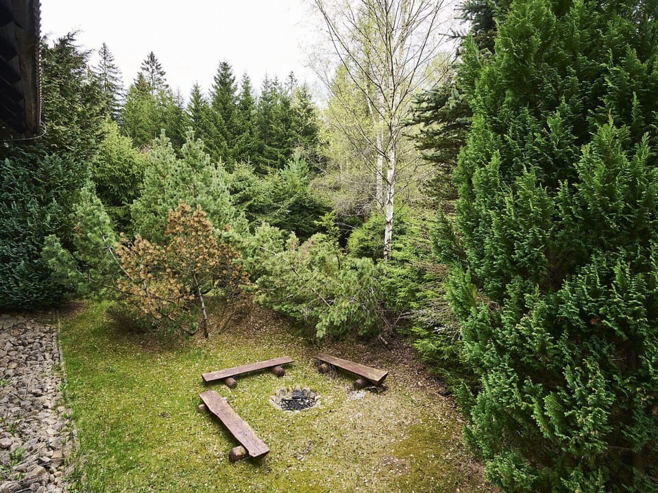 Plant, Plant Community, Natural Landscape, Larch, Tree, Evergreen, Terrestrial Plant, Groundcover, Shrub, Sky