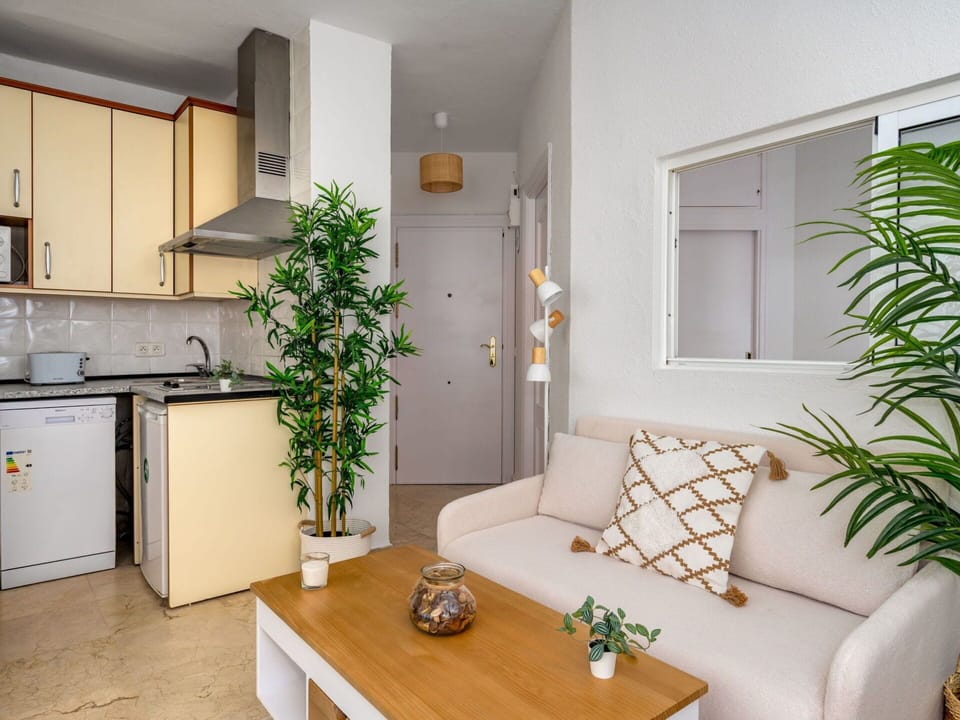 Plant, Furniture, Property, Cabinetry, Table, Green, Building, Couch, Interior Design, Countertop