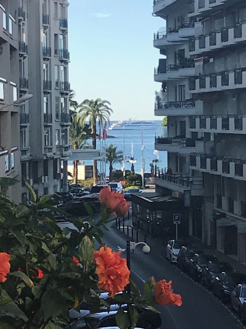View from property