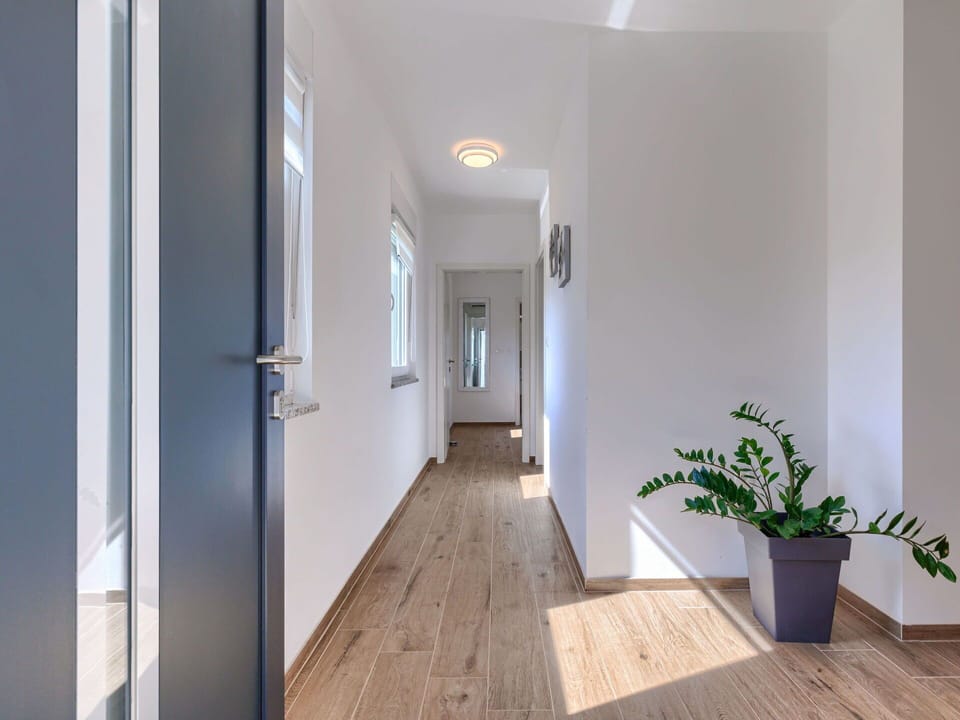 Plant, Door, Building, Flowerpot, Houseplant, Wood, Flooring, Window, Floor