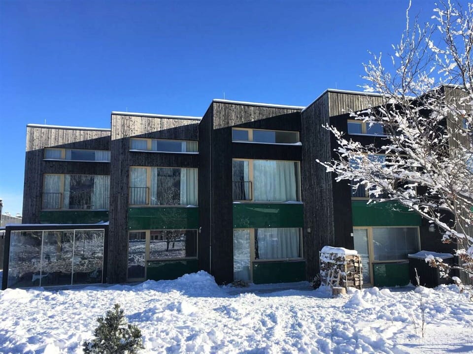 Sky, Building, Property, Snow, Plant, Window, Freezing, House, Tree, Urban Design