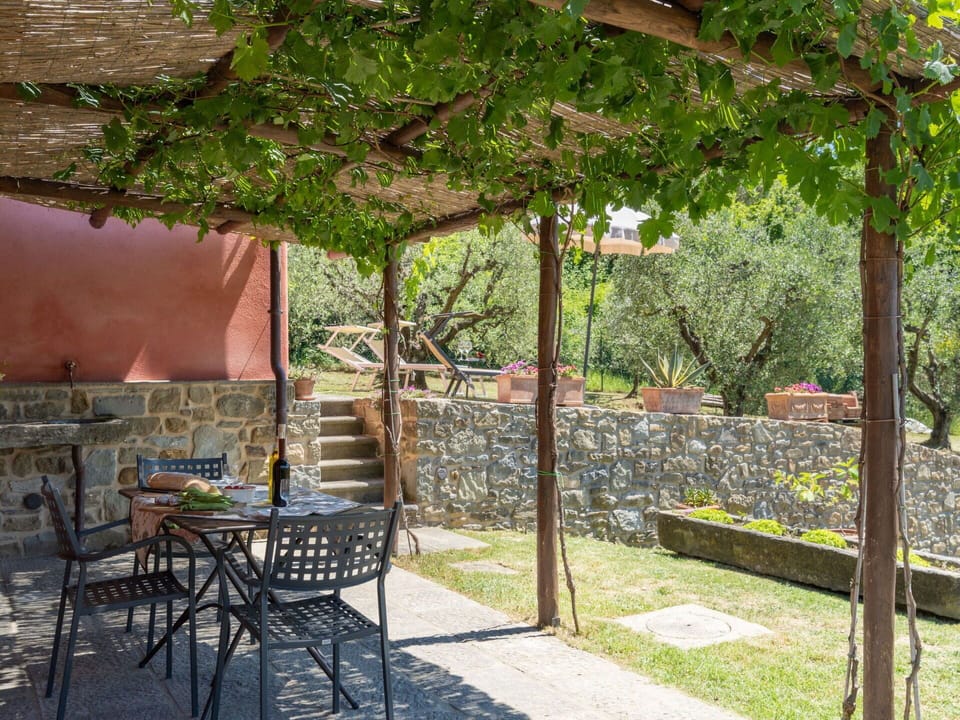 Plant, Furniture, Building, Shade, Table, Botany, Outdoor Furniture, Chair, Outdoor Table, Tree