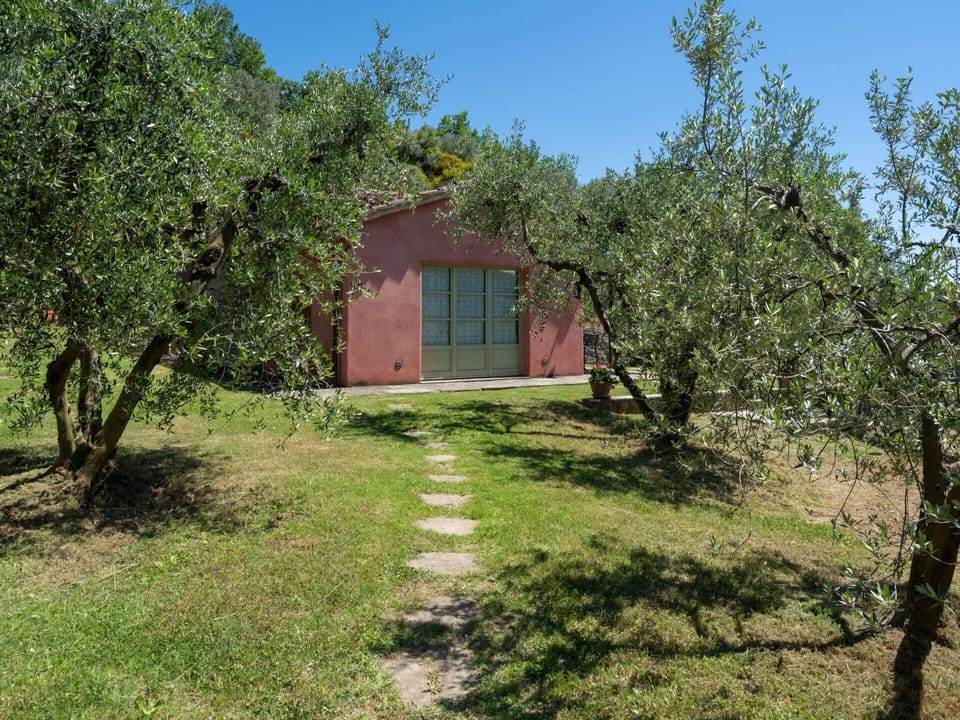 Plant, Sky, Building, Plant Community, Window, Natural Landscape, House, Land Lot, Tree, Cottage