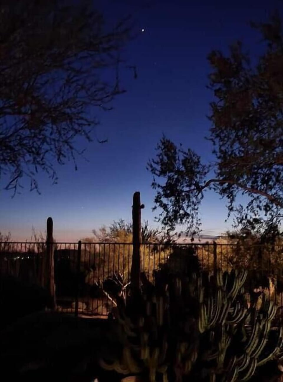 Back yard View.