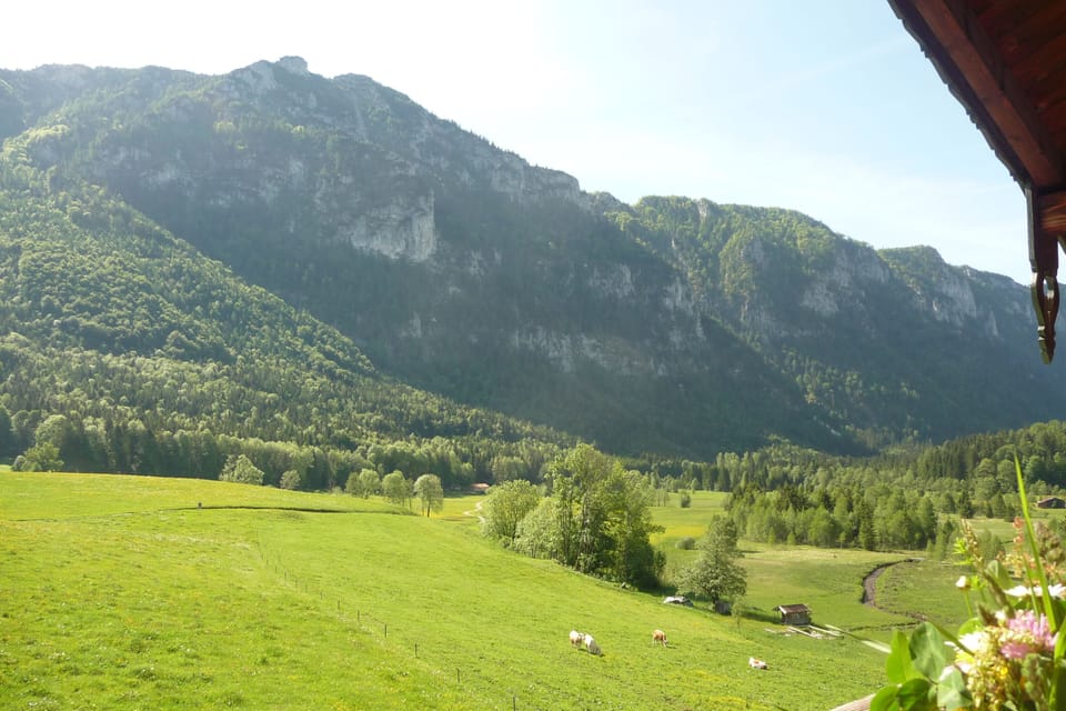 View from property