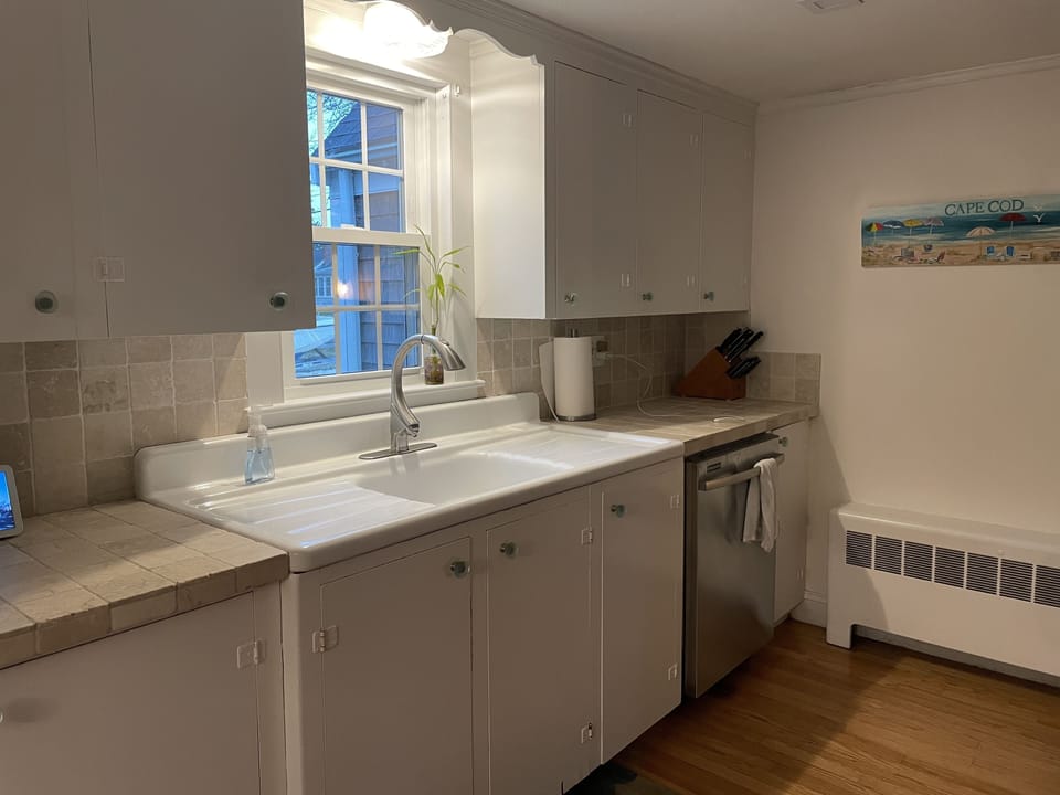 Wonderful vintage sink and stainless steel dishwasher