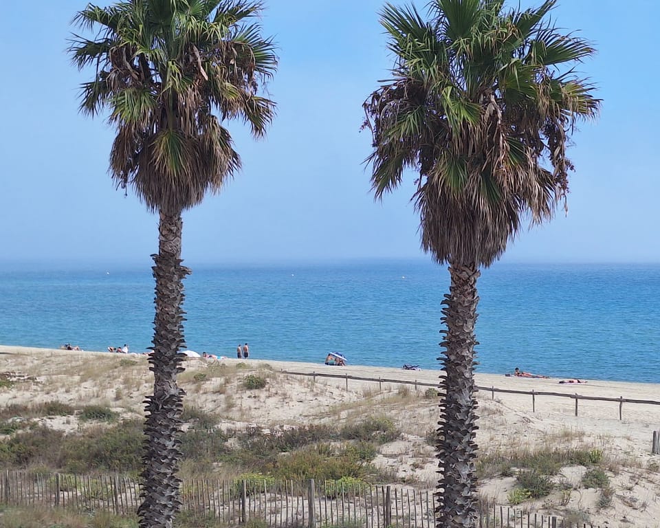 Beach