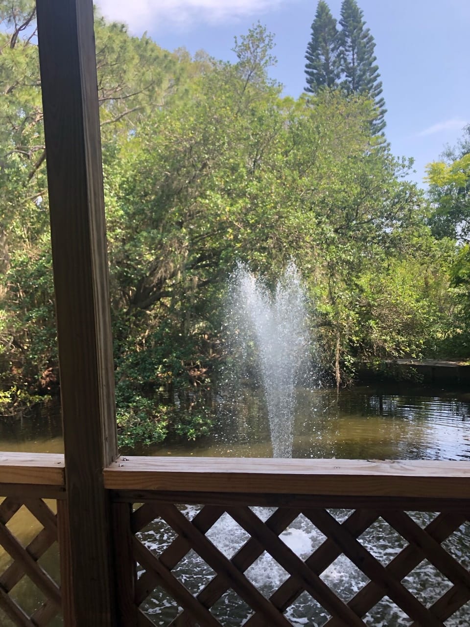 View from property