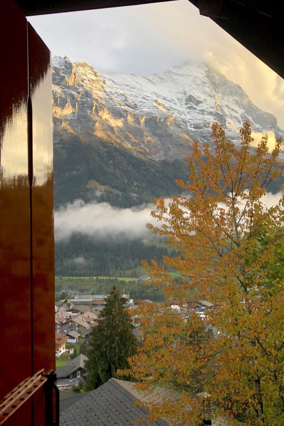 View