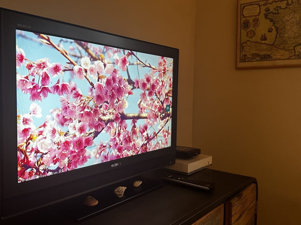 Television