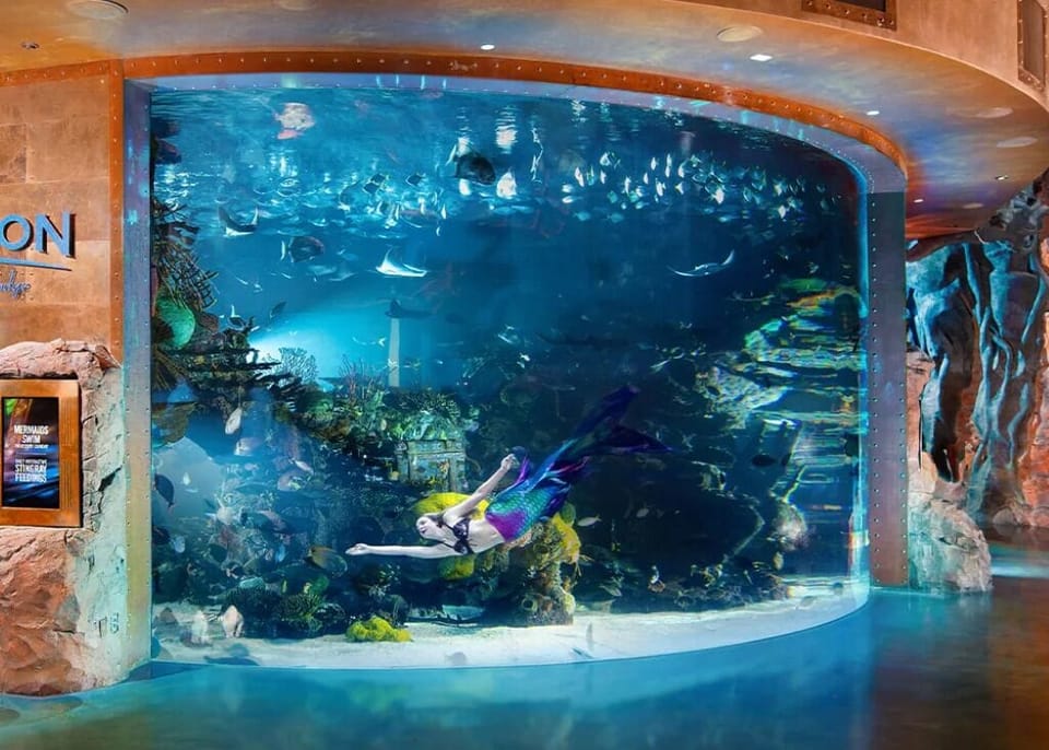 Marvel at the dramatic aquarium display for a wow-factor arrival.