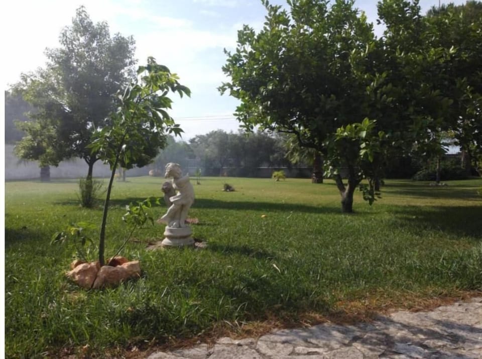 Property grounds