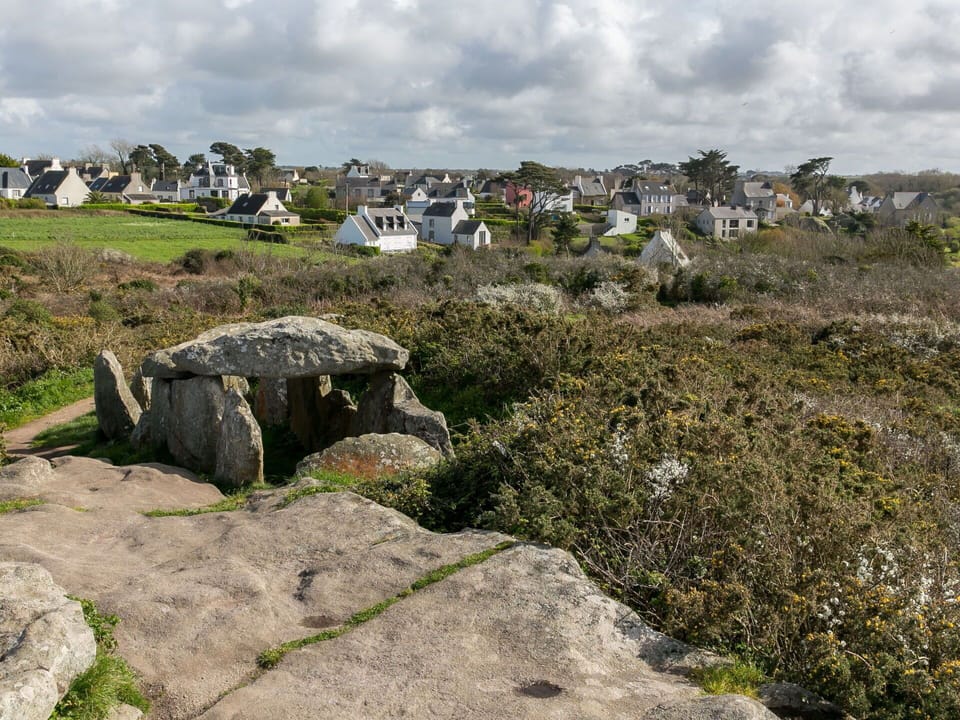 Plant, Furniture, Building, Property, Table, Chair, Shade, Window, Interior Design, Lighting