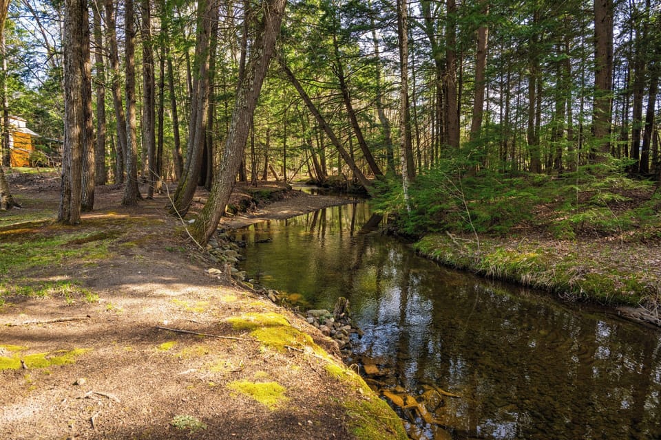 Enjoy a refreshing swim in the brook to cool off on hot days.