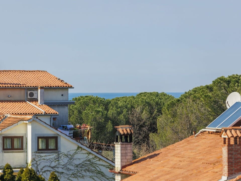 Sky, Window, Building, Wood, House, Tree, Cottage, Facade, Horizon, Landscape