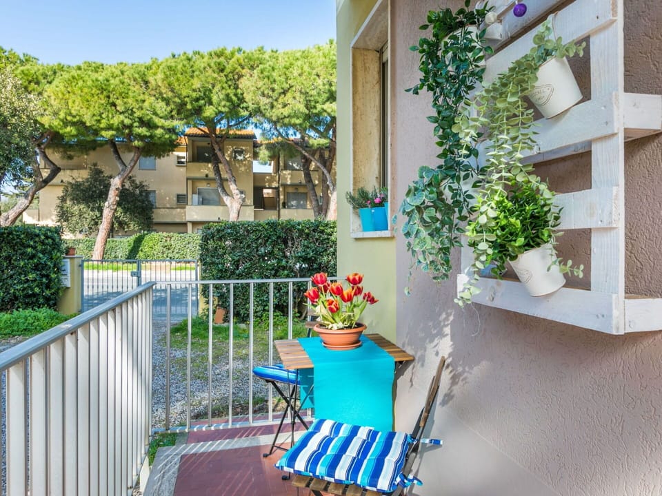 Plant, Building, Property, Daytime, Flowerpot, Azure, Houseplant, Sky, House, Chair