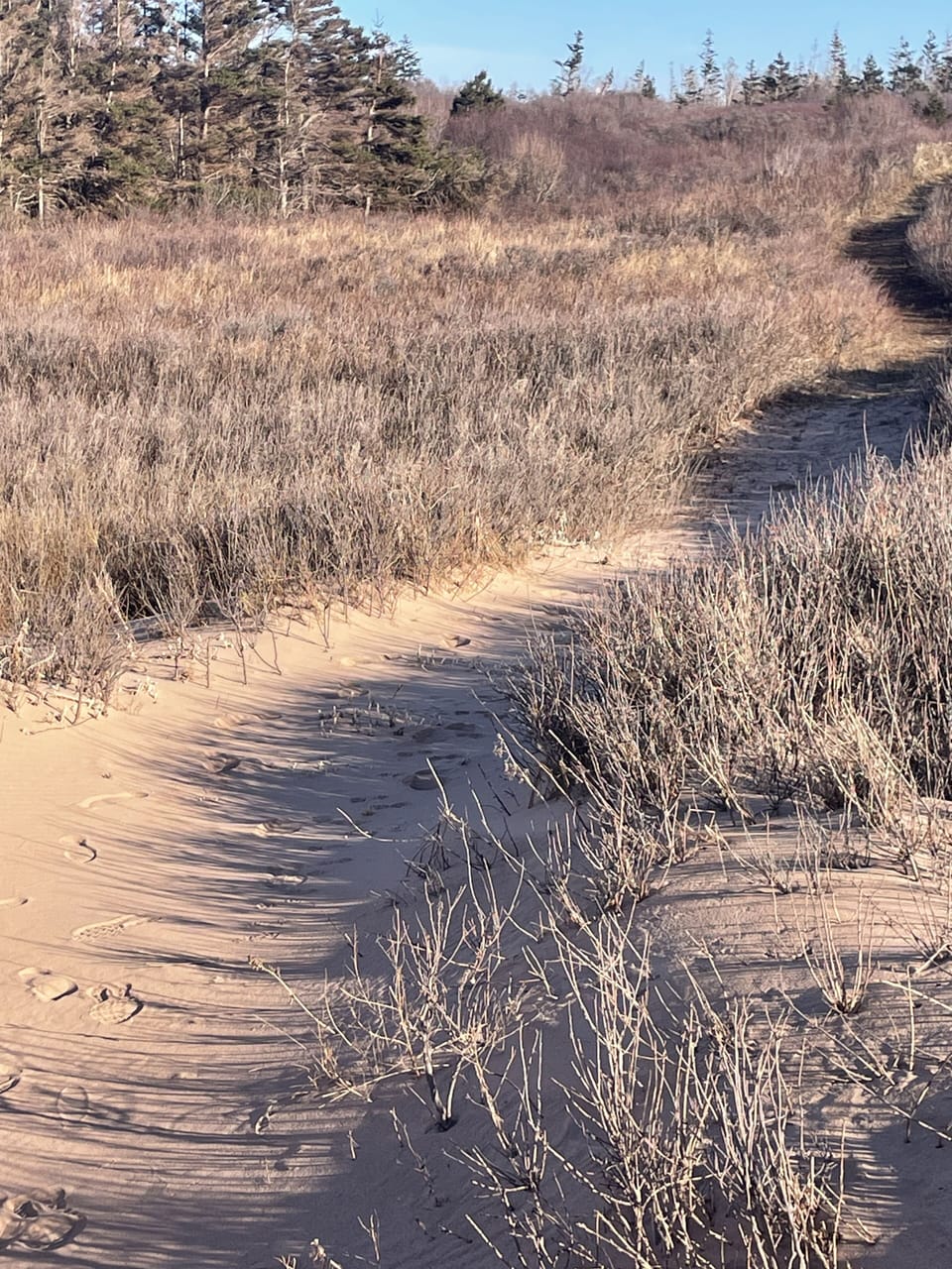 Semi private pathway to the beach