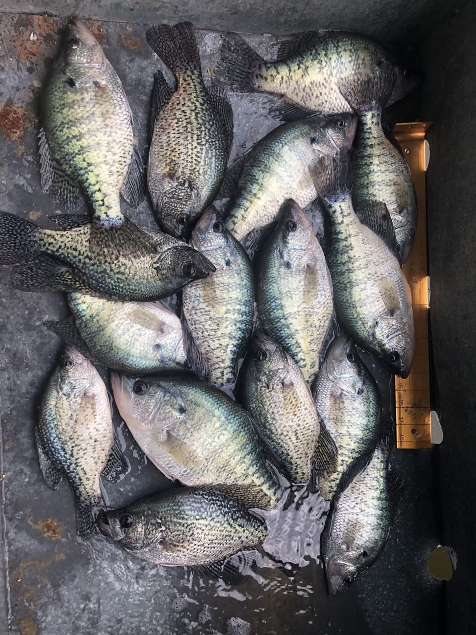 Did we mention the fishing is great?!