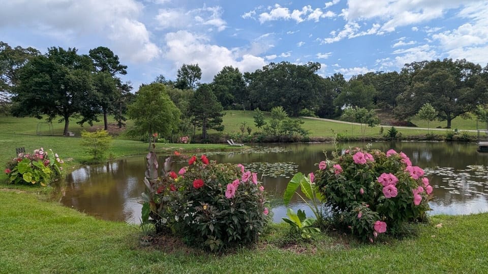 Flowers by Edendell Pond