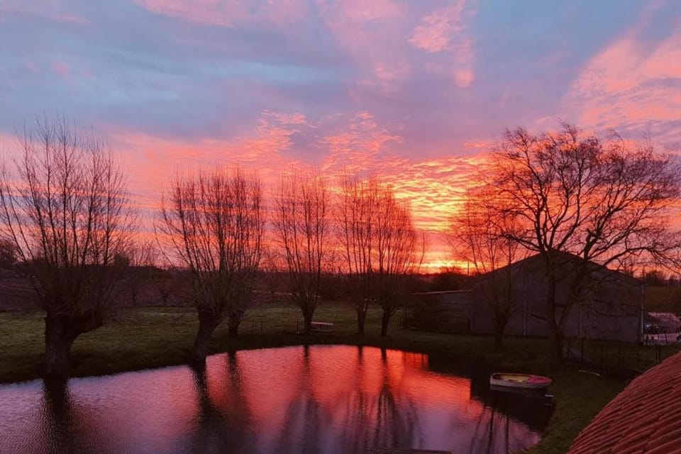 Region [summer] (>5 km)