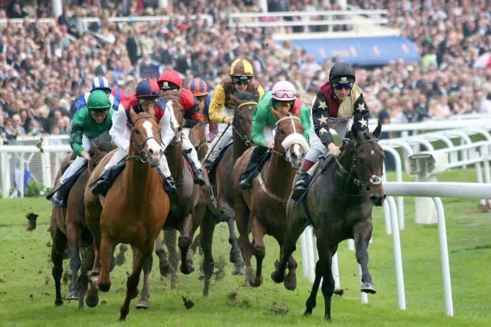 Chester Races Nearby