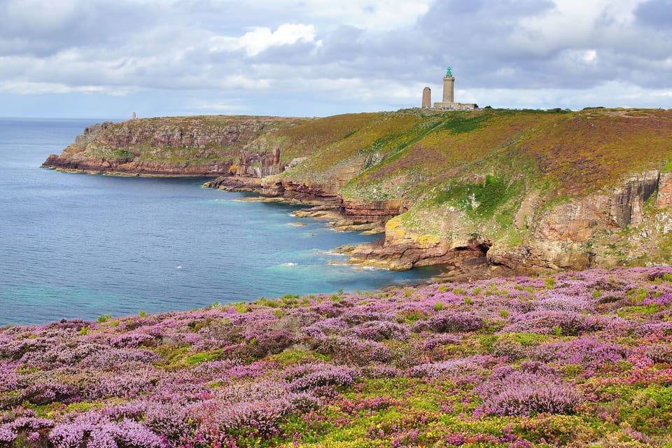 Region [summer] (>5 km)