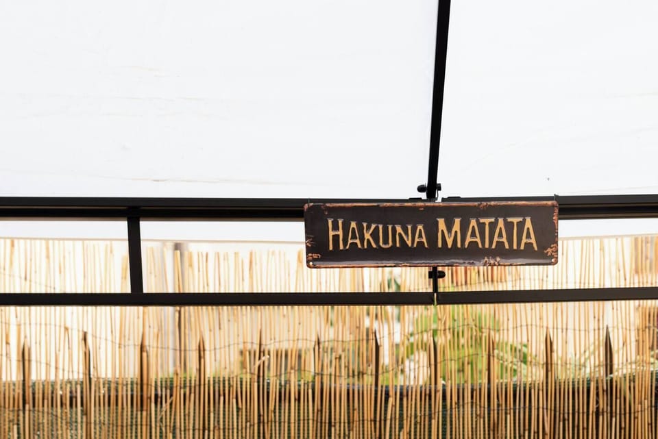 hakuna matata 