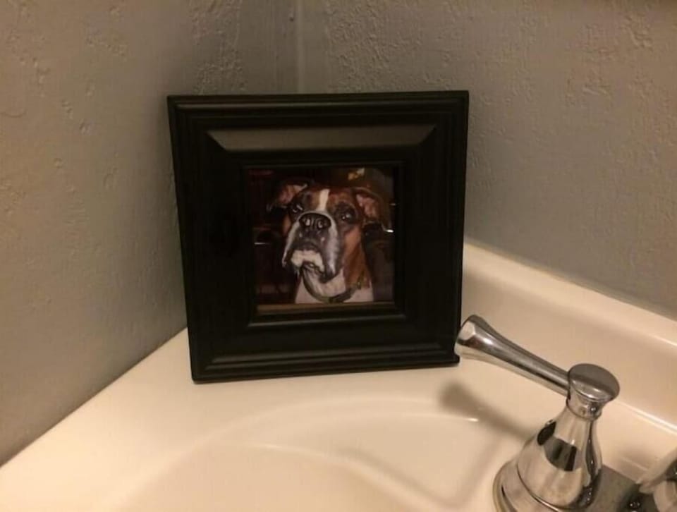 Pictures of sweet Romeo in every room - this used to be his home