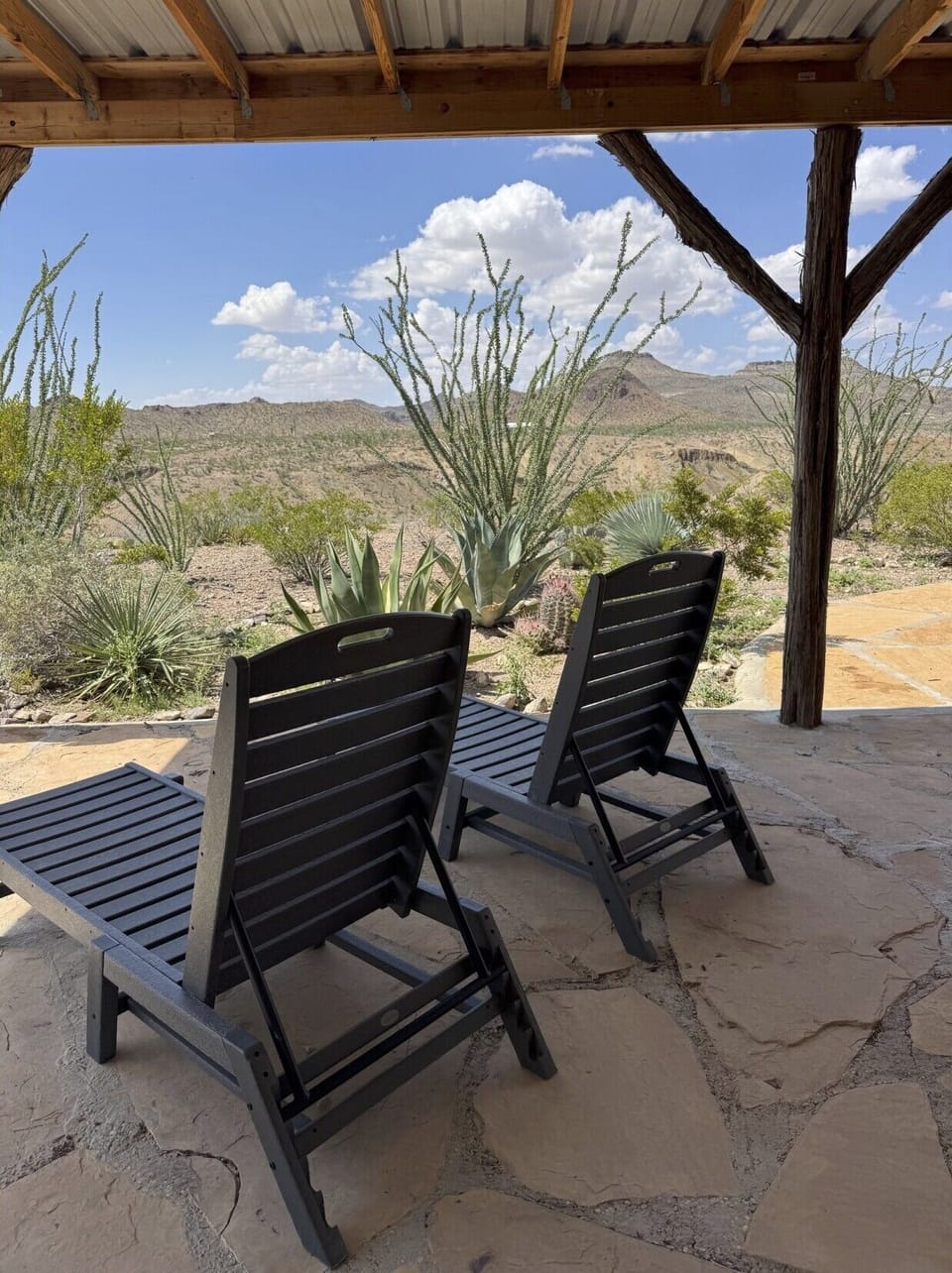 pool1 chairs